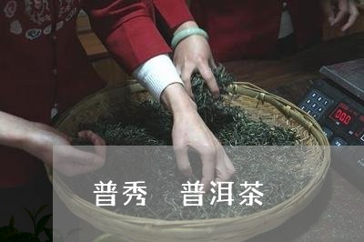 普秀 普洱茶/2023042984318